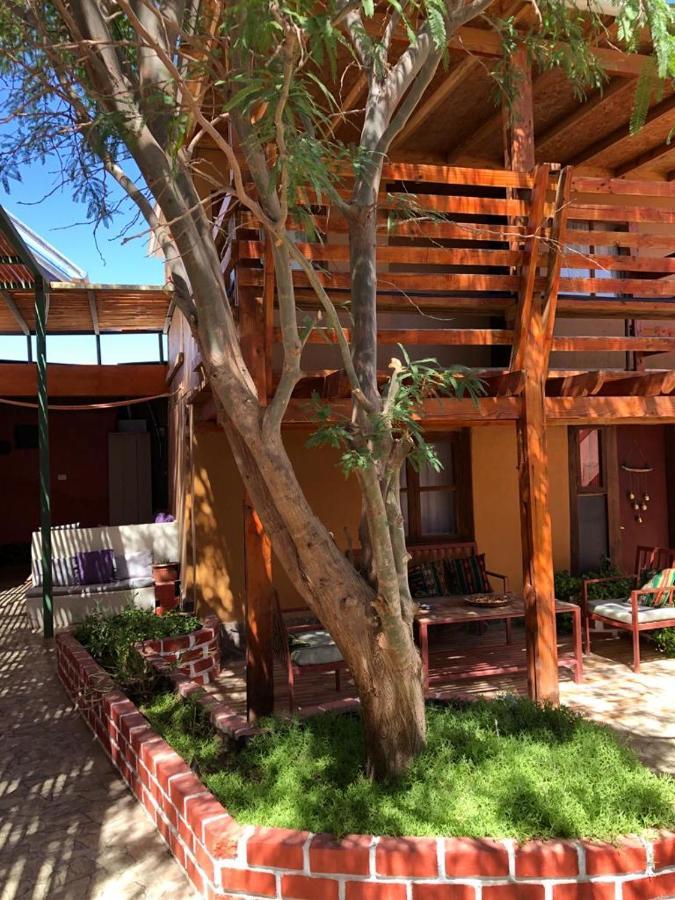 סן פדרו דה אטקאמה Hostal Nuevo Amanecer מראה חיצוני תמונה