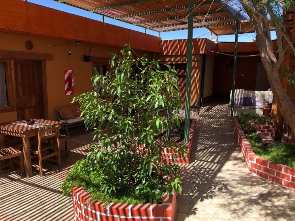 סן פדרו דה אטקאמה Hostal Nuevo Amanecer מראה חיצוני תמונה