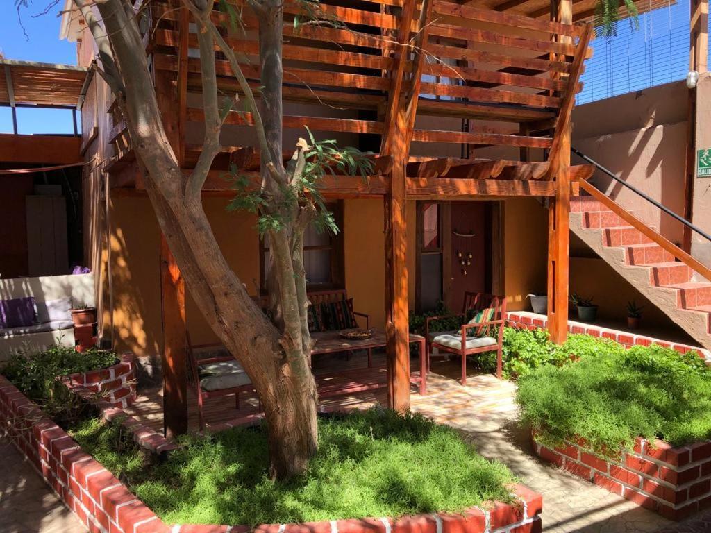 סן פדרו דה אטקאמה Hostal Nuevo Amanecer מראה חיצוני תמונה